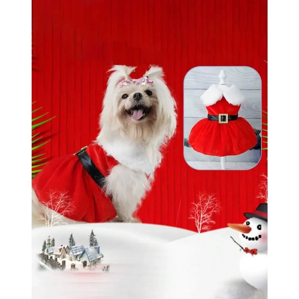 NEW! Christmas Dog Cat Dress - Santa Red - LARGE